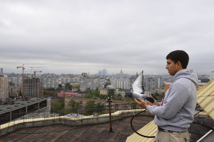 Частная голубятня в Москве