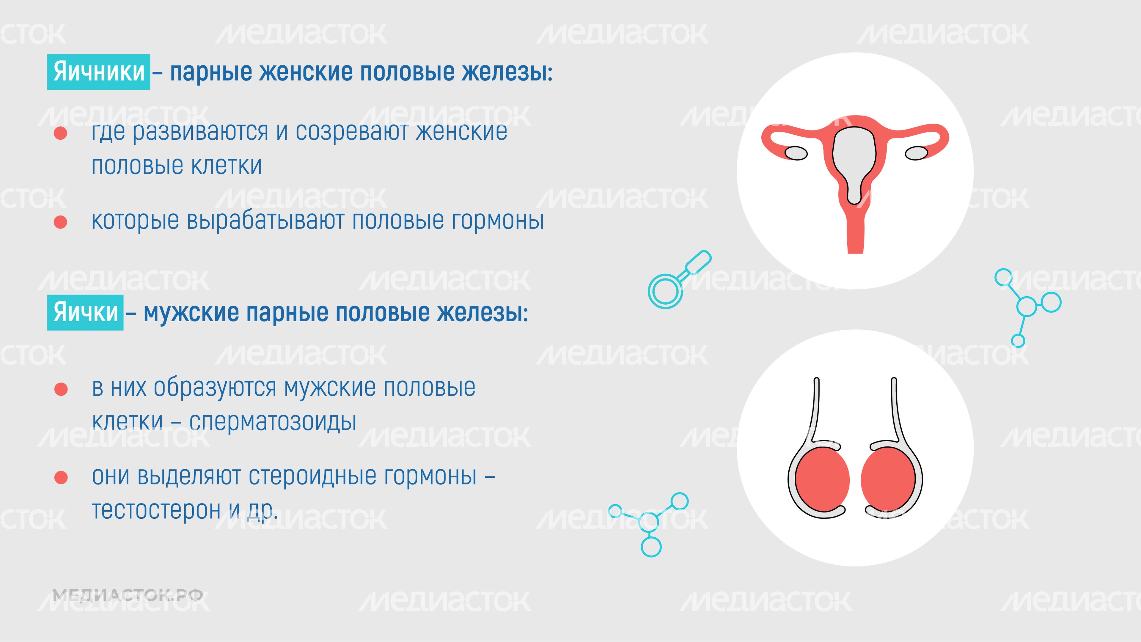 Эндокринные заболевания у наркозависимых горизонталь 07 Эндокринные заболевания у наркозависимых горизонталь 07