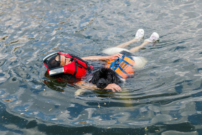 Фестиваль водных видов спорта "Вода для всех" прошел в Красногорске