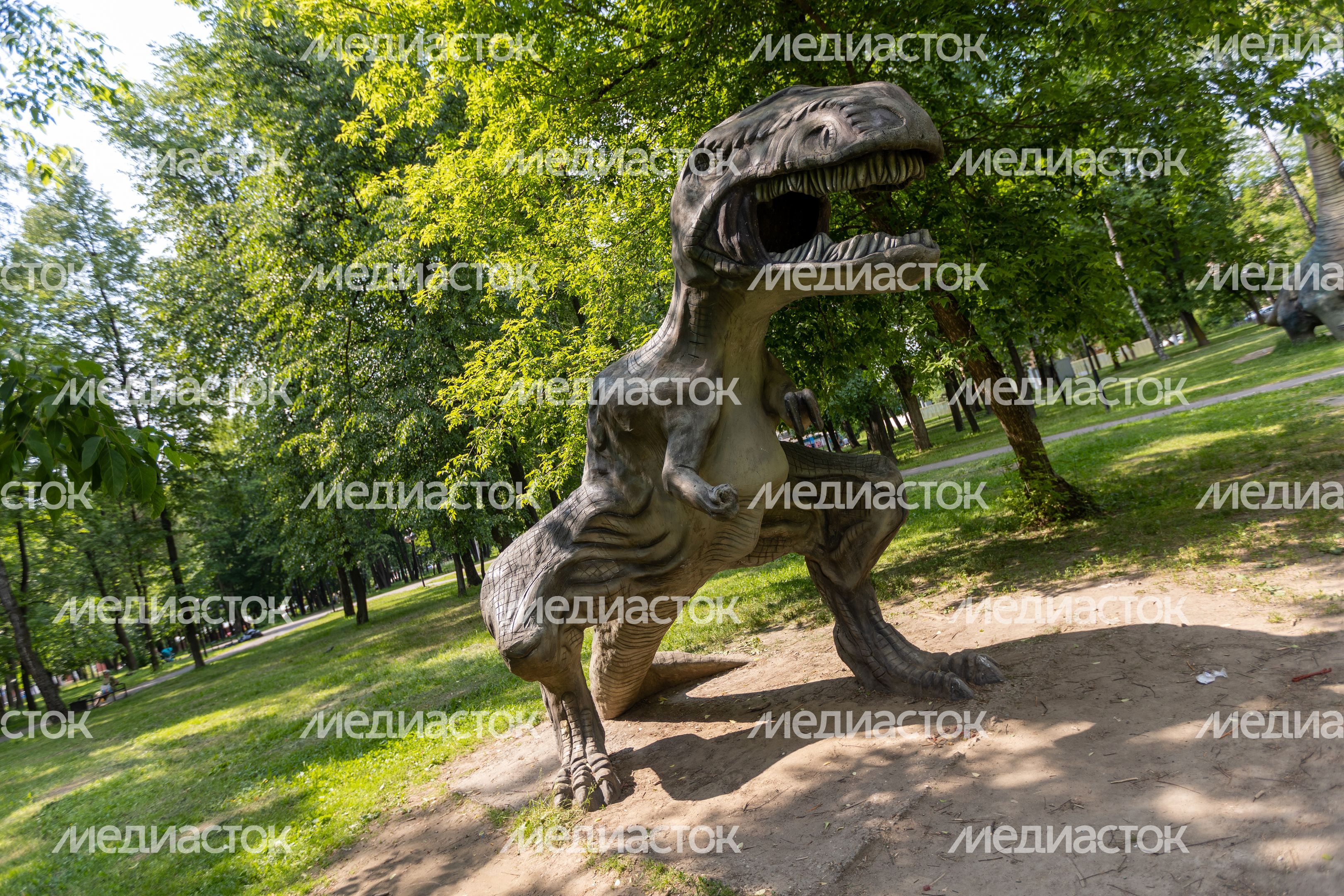 Серпухов. Комсомольский парк Серпухов. Комсомольский парк