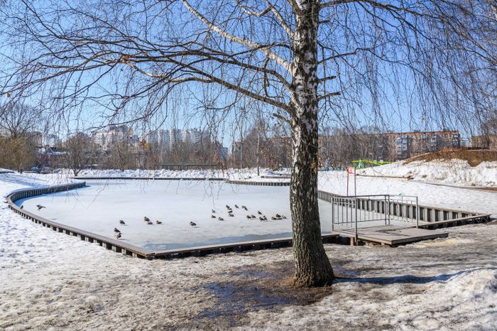 Центральный парк культуры и отдыха в Долгопрудном зимой