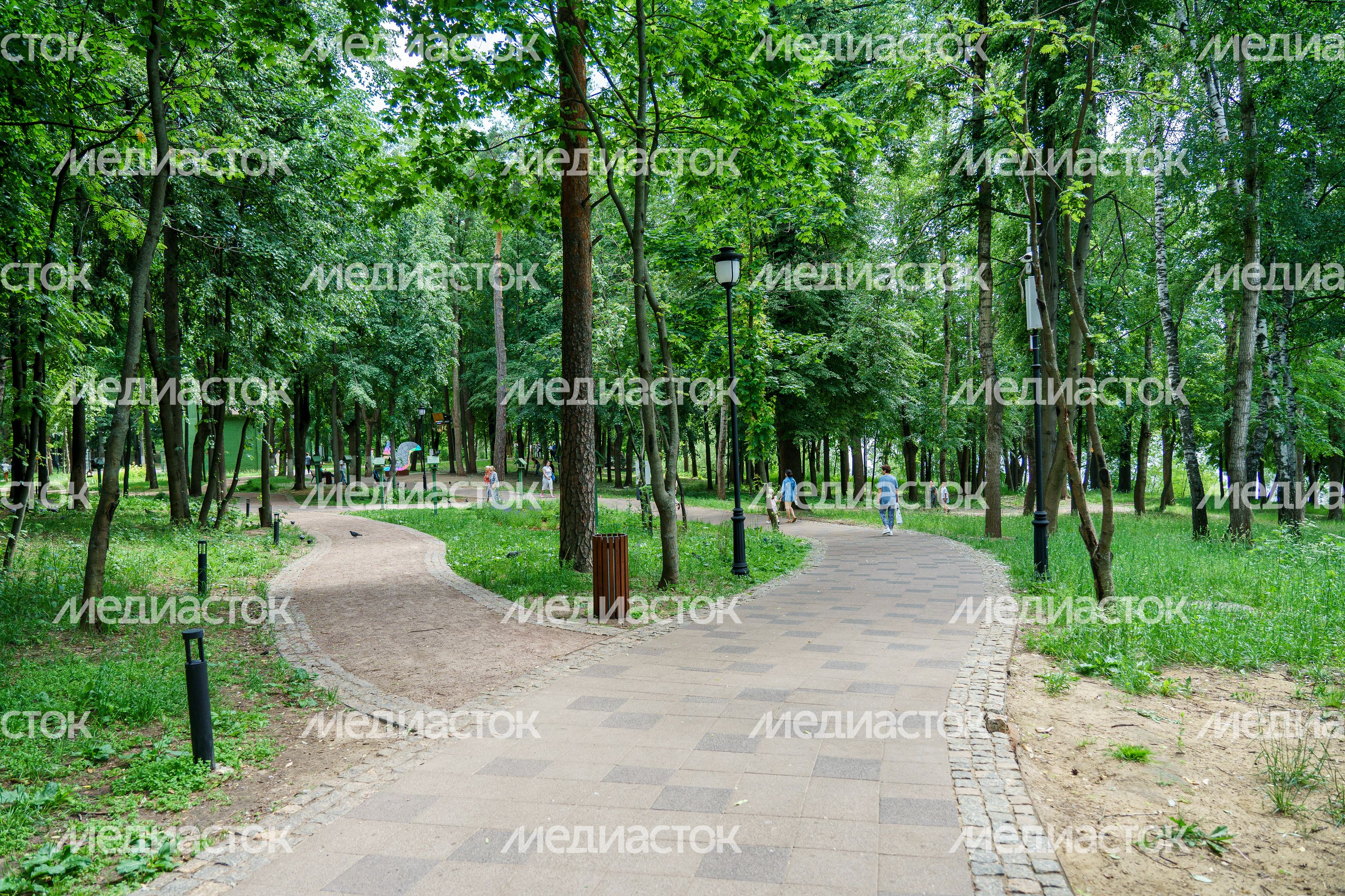 Раменский городской парк культуры и отдыха летом