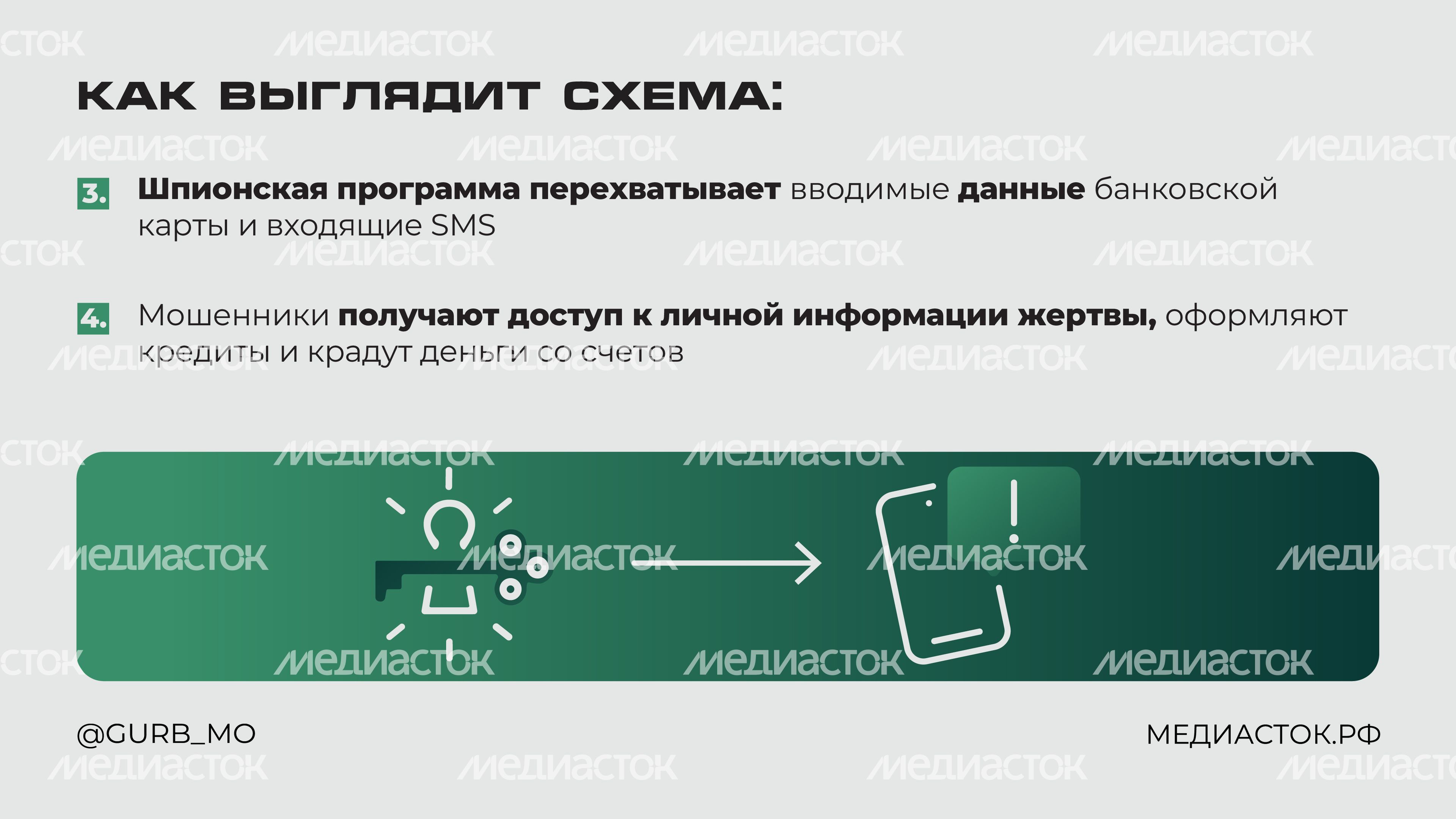 Мошенническая схема Мамонт горизонталь 03 Мошенническая схема Мамонт горизонталь 03
