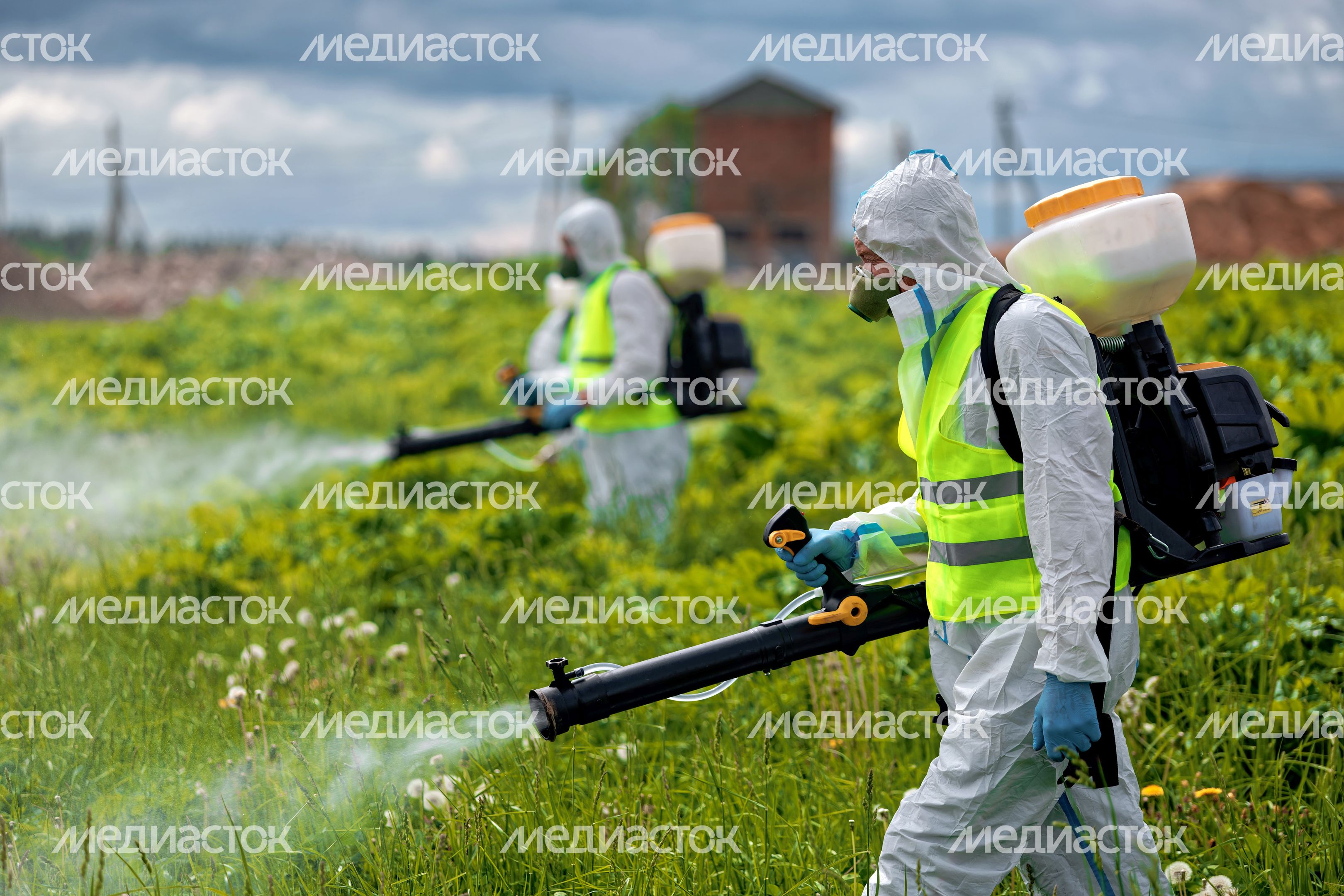 Обработка территории от борщевика в Волоколамском округе Обработка территории от борщевика в Волоколамском округе