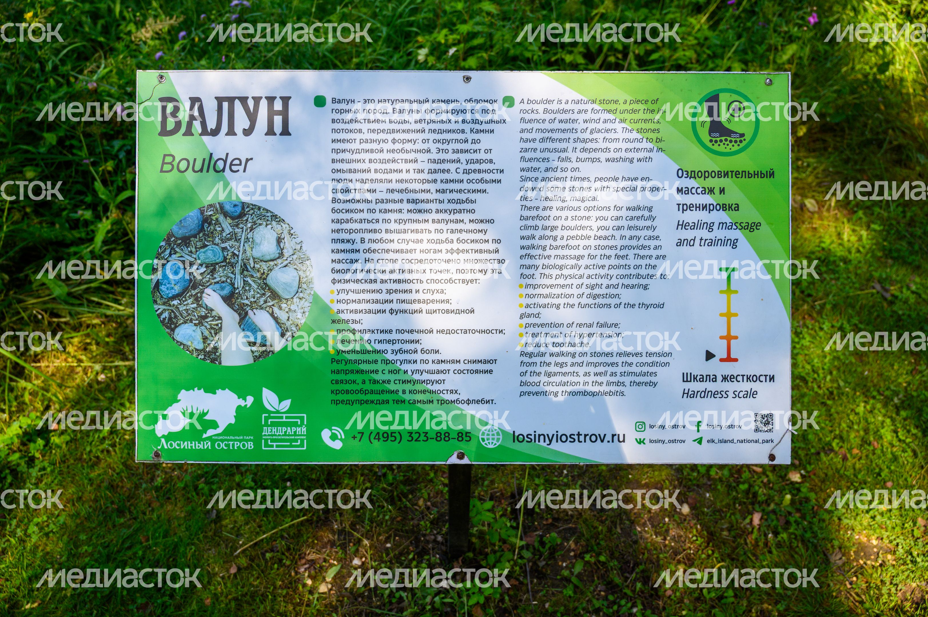 Эколого-просветительский комплекс "Дендрарий" в Мытищах Эколого-просветительский комплекс "Дендрарий" в Мытищах
