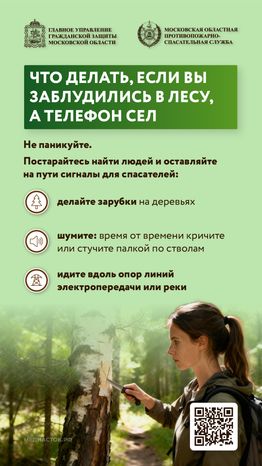 Как подготовиться к походу в лес вертикаль 06