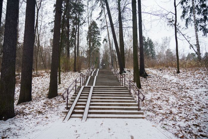 Люберцы. Томилинский лесопарк. Зима