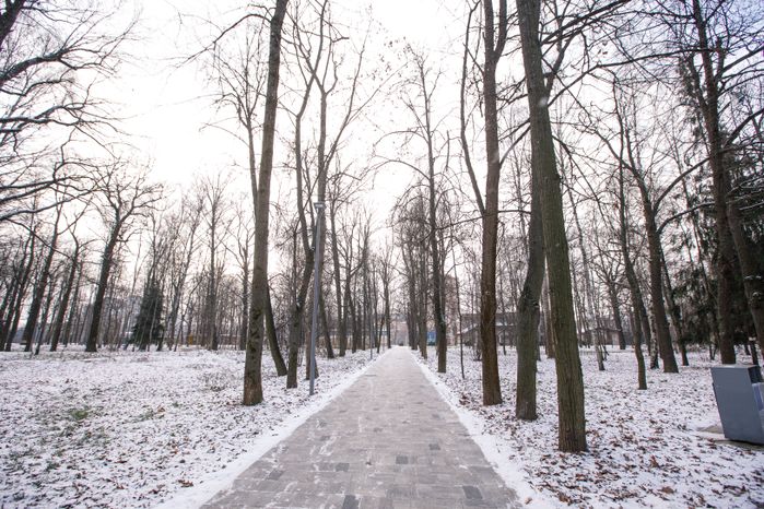 Химки. Парк культуры и отдыха имени Л.Н. Толстого. Зима