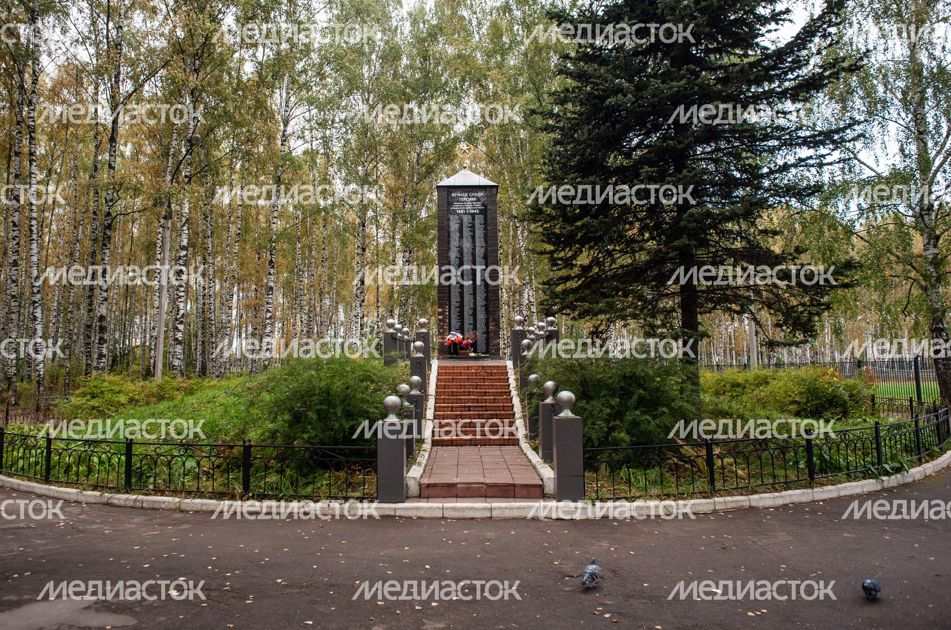 Виды города Монино