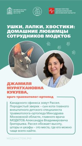 Ушки, лапки, хвостики вертикаль 02