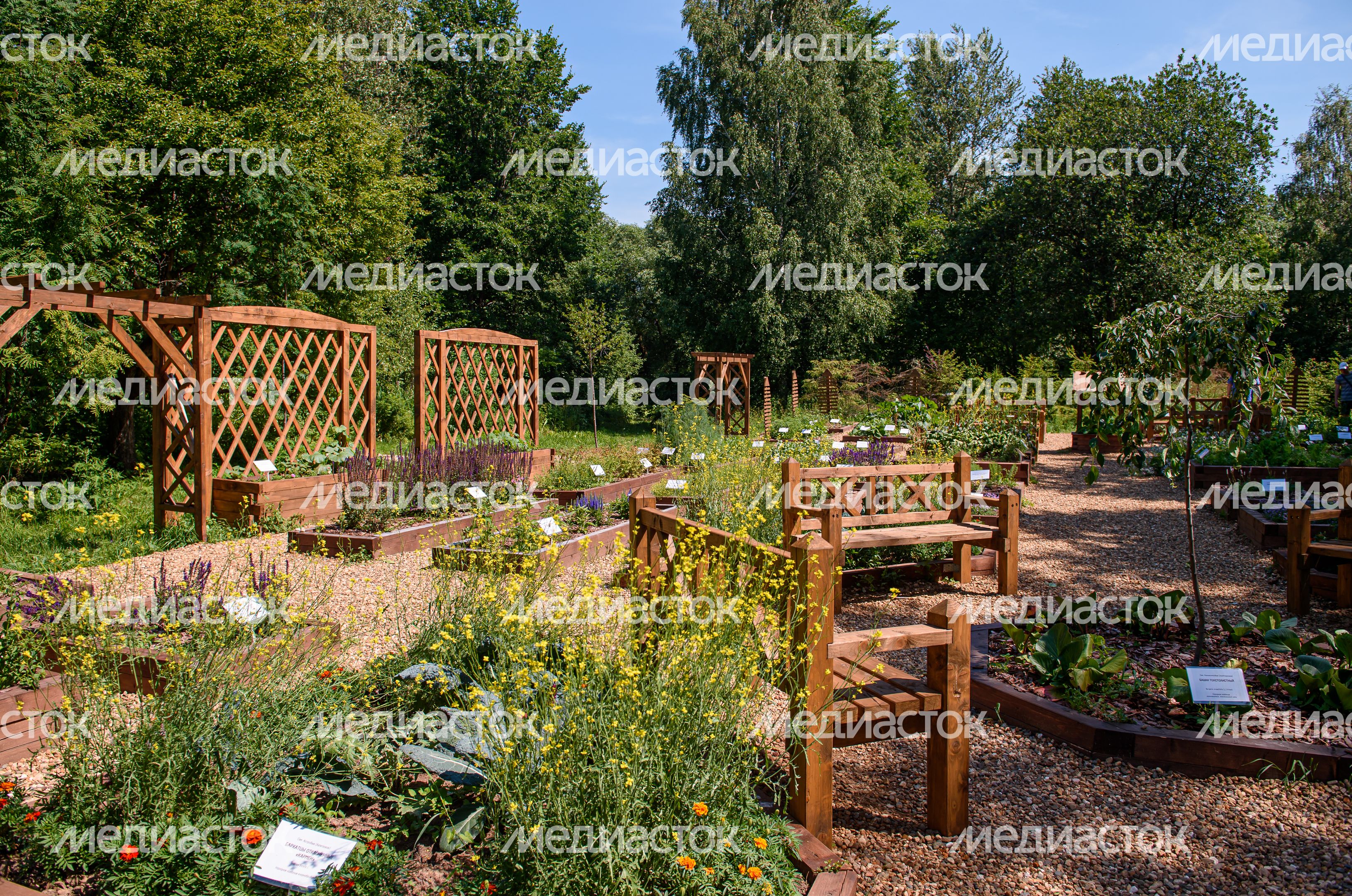 Переславский дендрологический сад имени Сергея Фёдоровича Харитонова