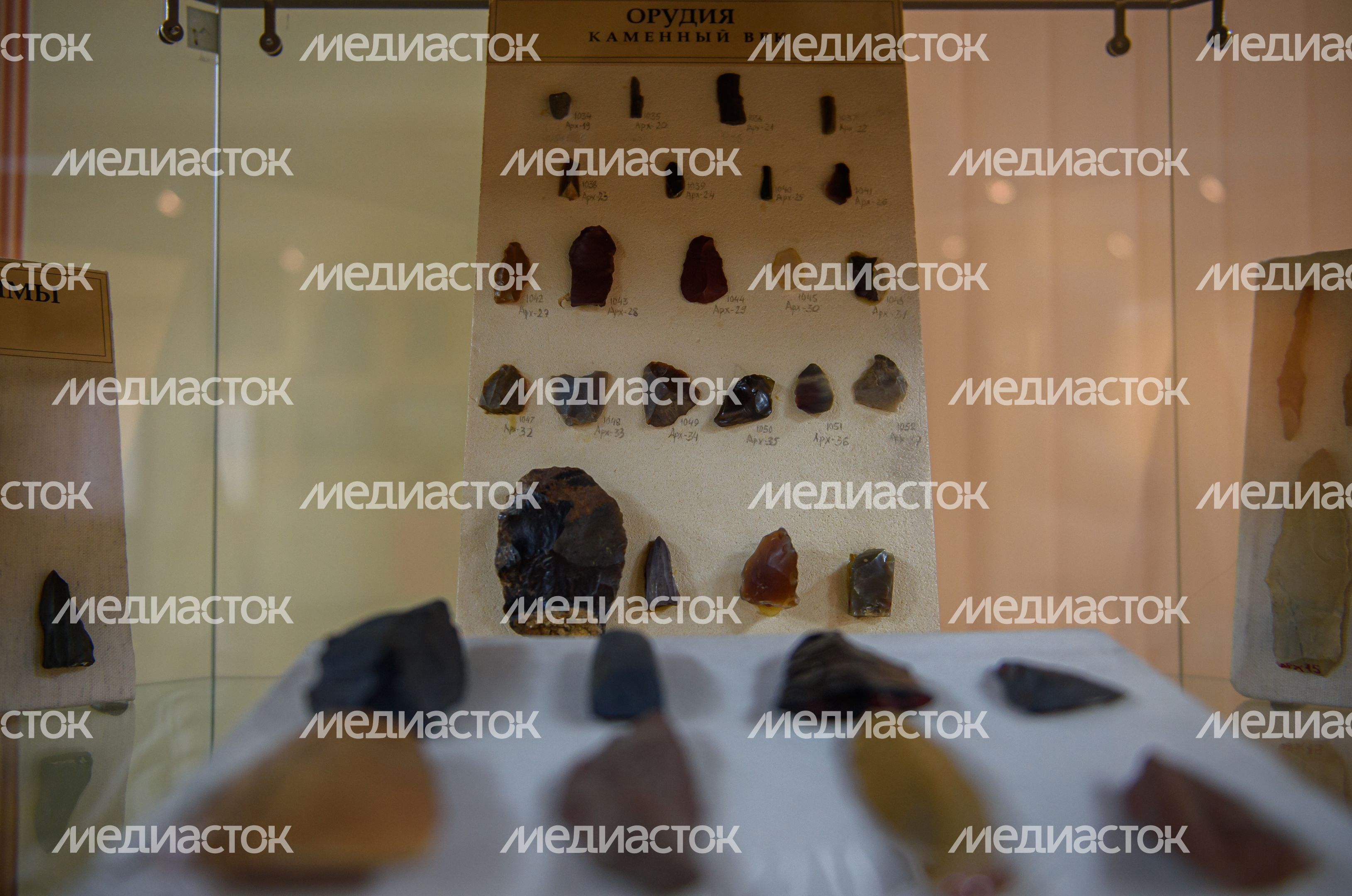 Пущинский музей экологии и краеведения