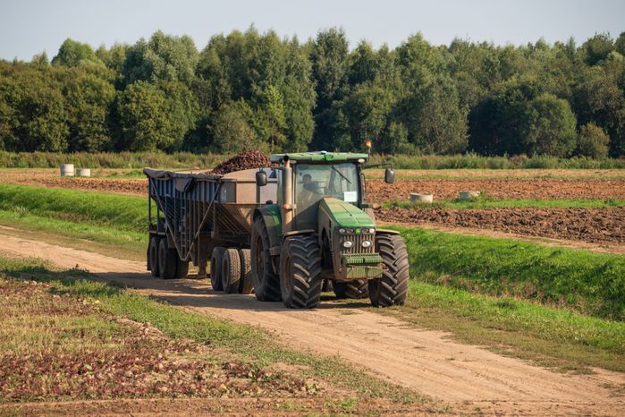 Уборка урожая на полях ГК "Дмитровские овощи"