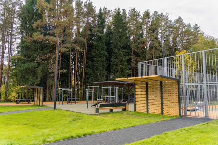 Спортивная площадка в лесопарке «Городская массовка» Дедовска округа Истра осенью