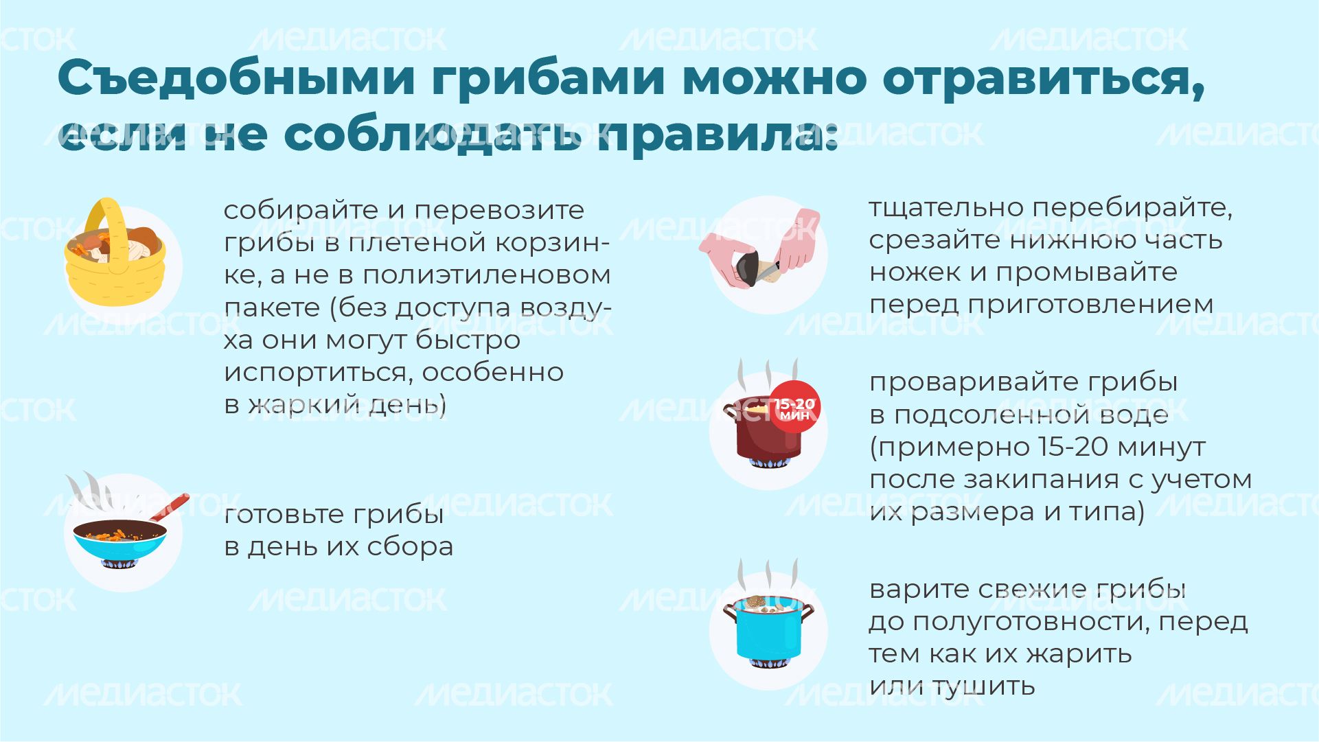 13 Горизонталь_грибы_07-100