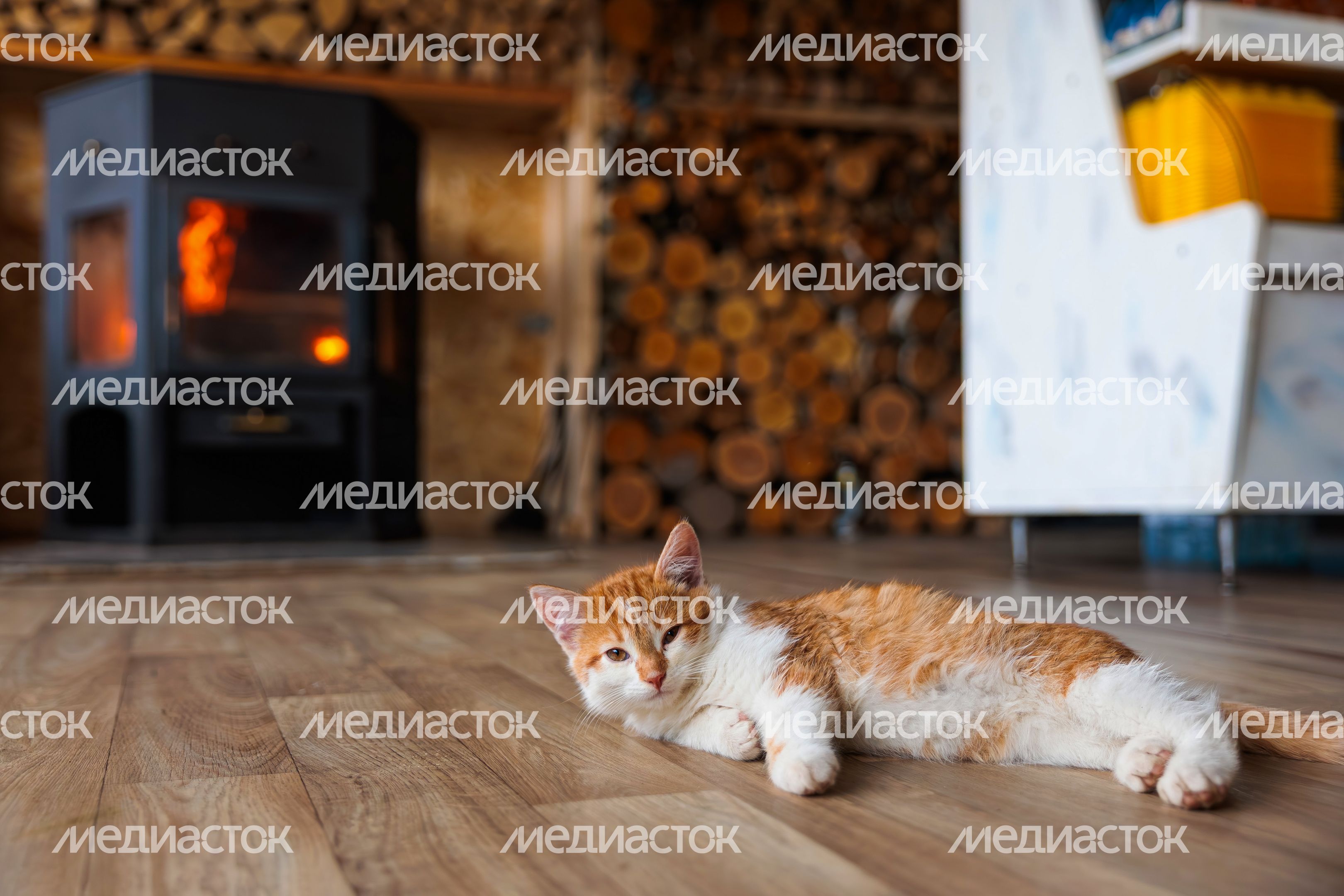 Котенок лежит на полу Котенок лежит на полу