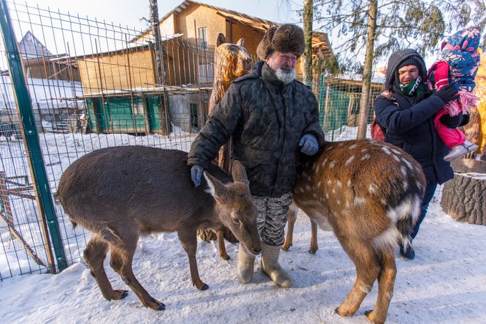 Оленья ферма ZooОleni в Рузском округе