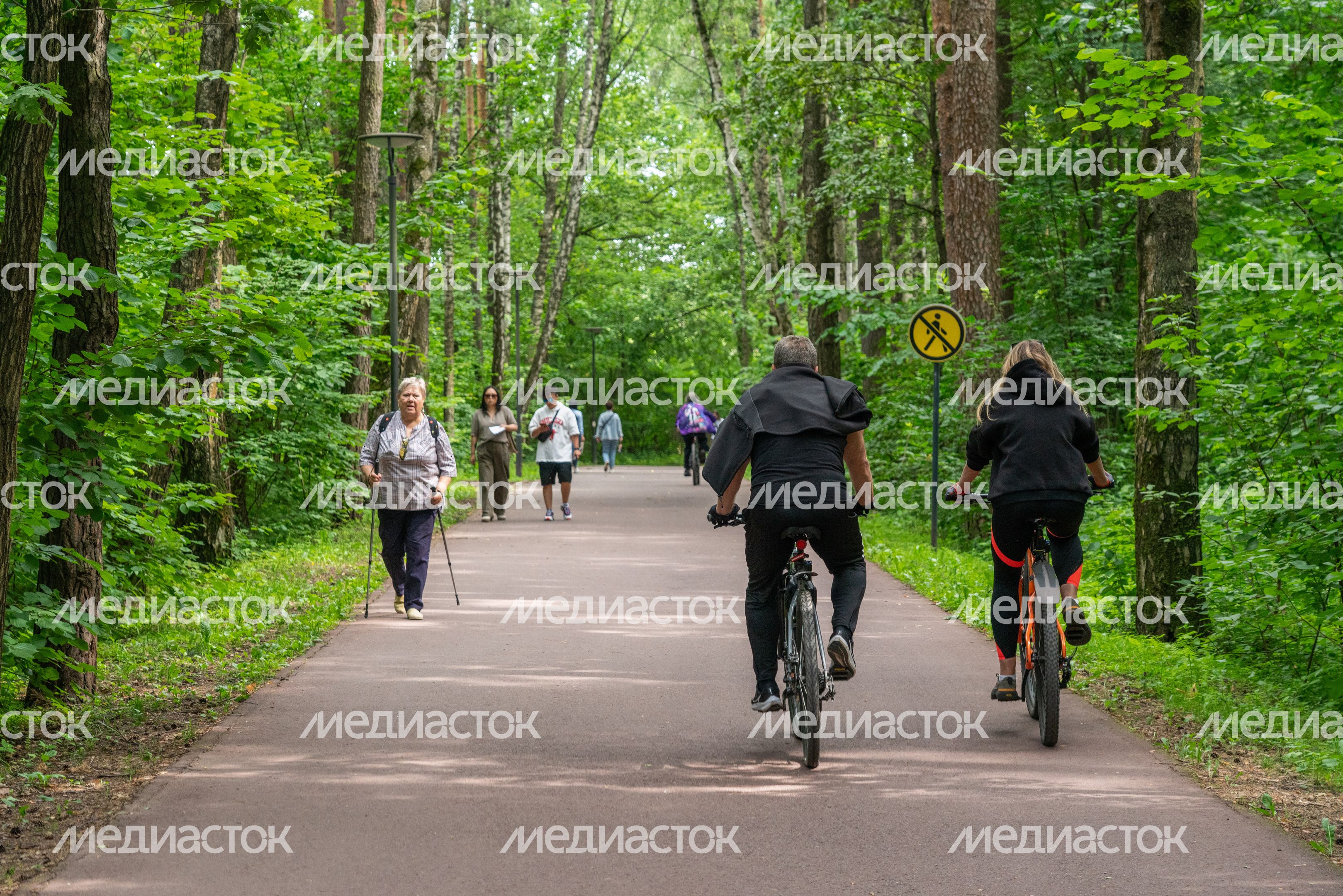 Мещерский парк летом
