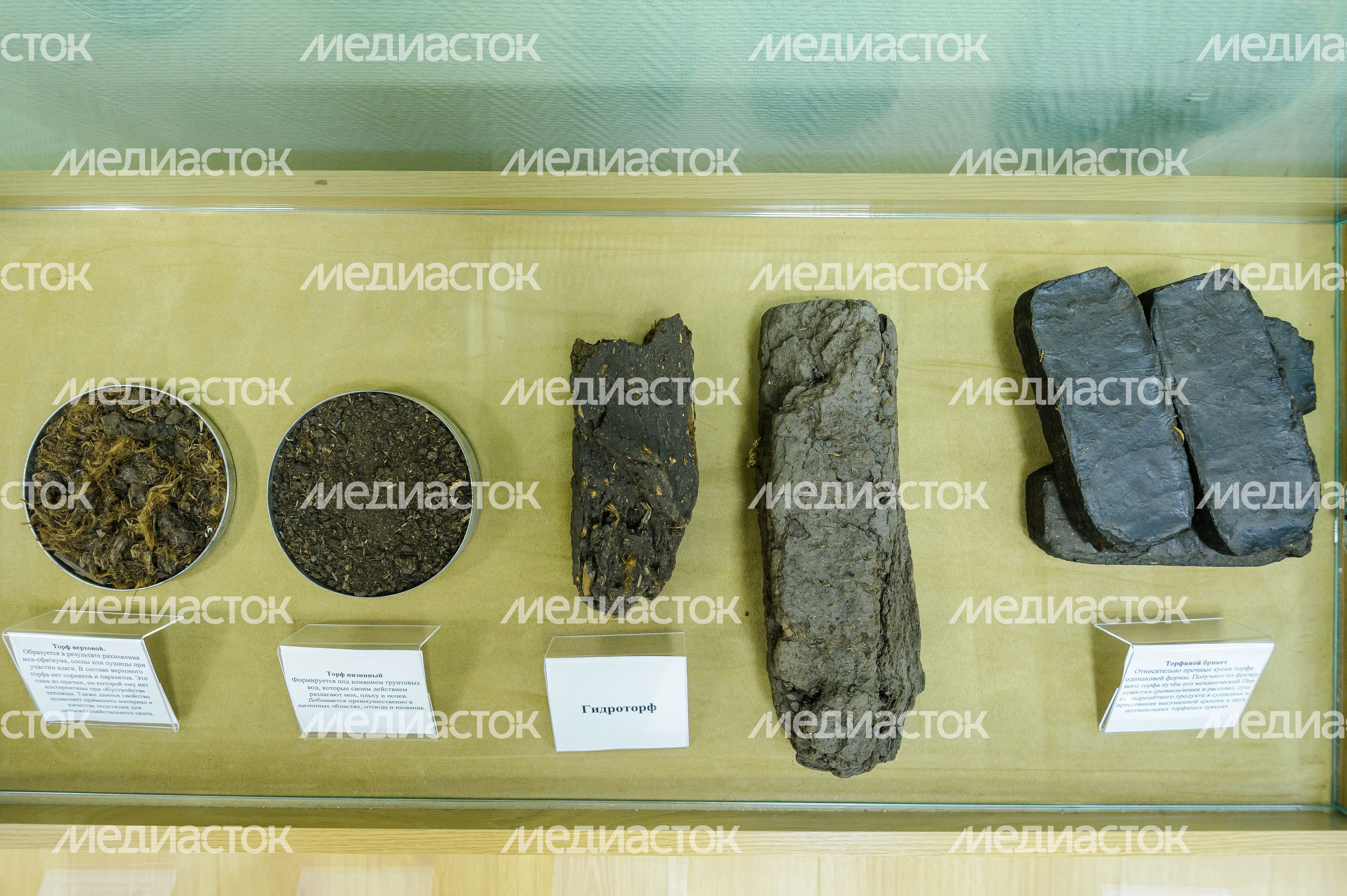 Шатурский краеведческий музей Шатурский краеведческий музей