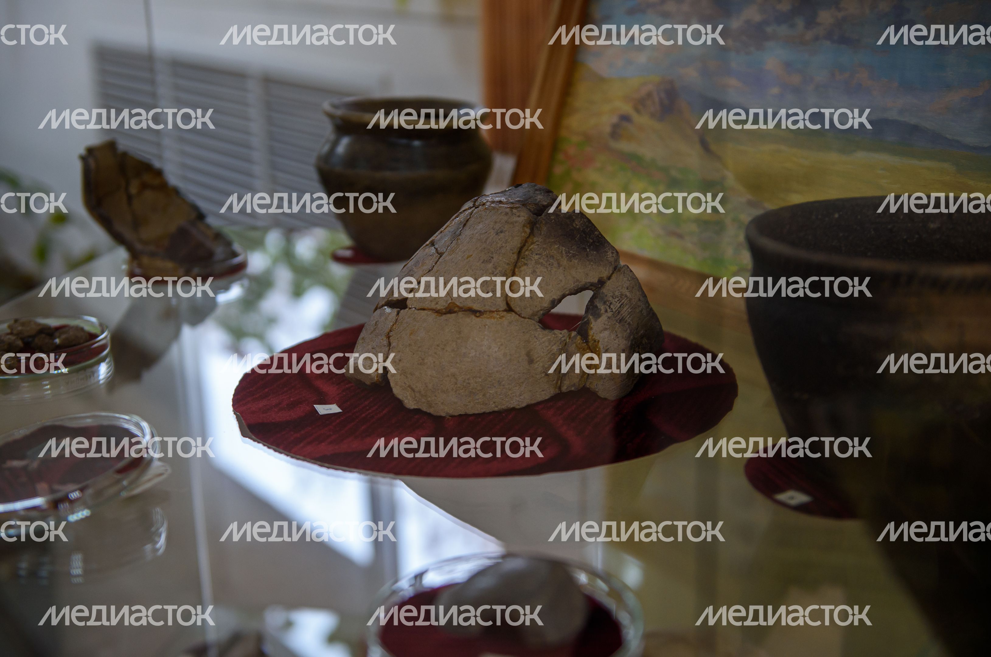 Пущинский музей экологии и краеведения