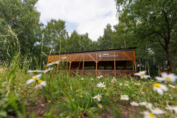 Парк "Липовая аллея" в Электроуглях