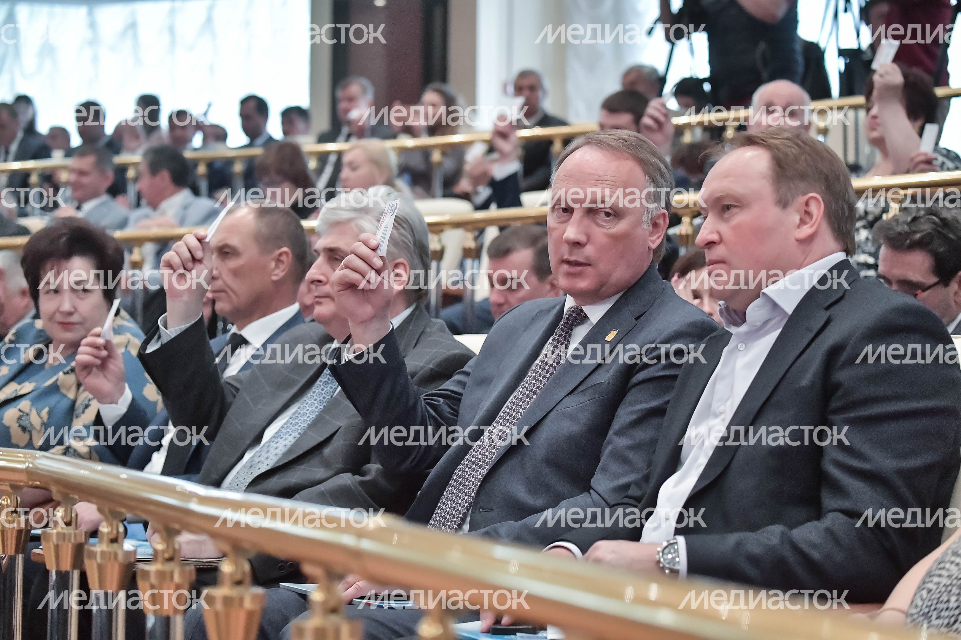 Внеочередная конференция Московского областного регионального отделения партии  «Единая Россия»