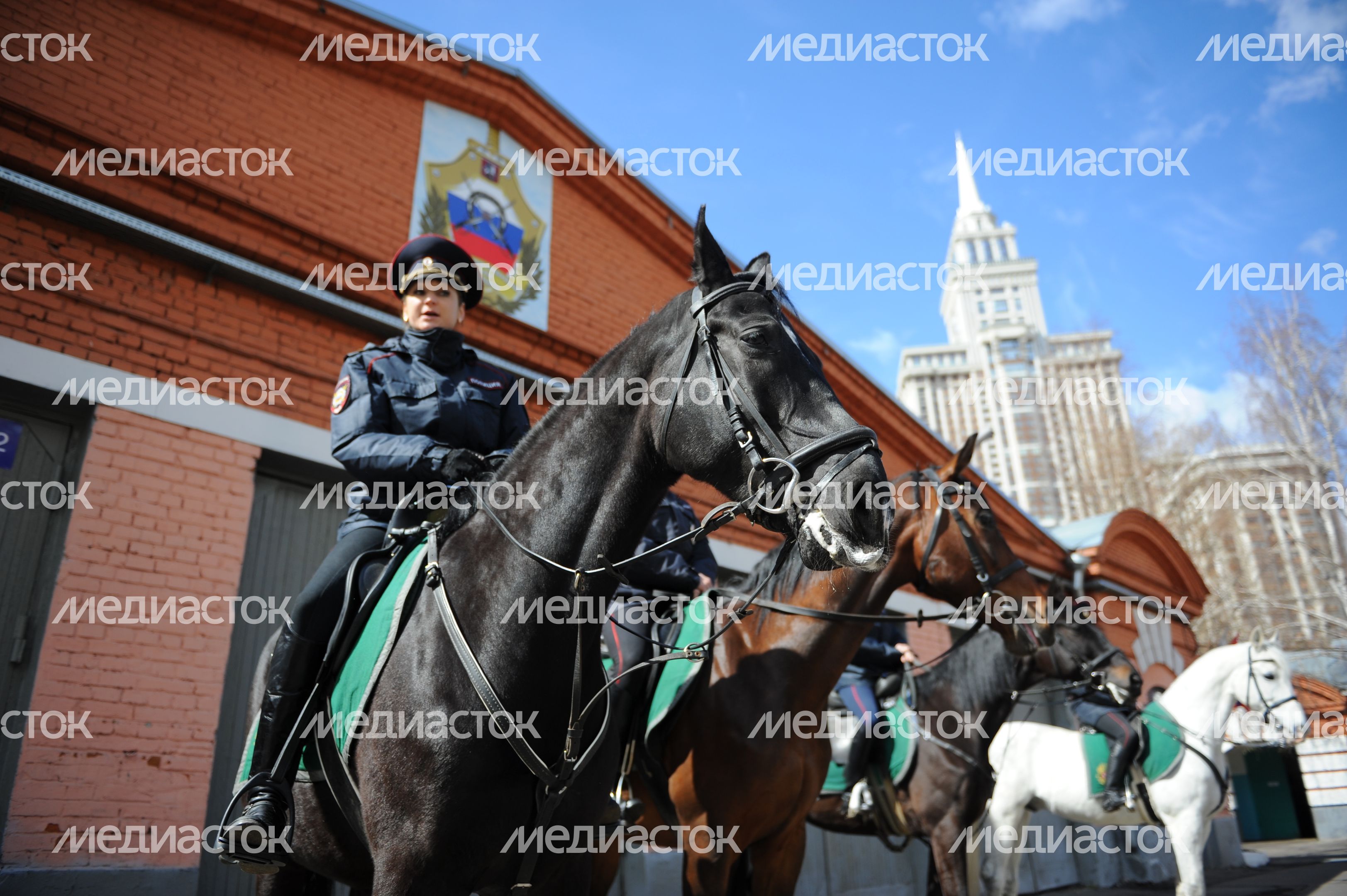Конная полиция Москвы