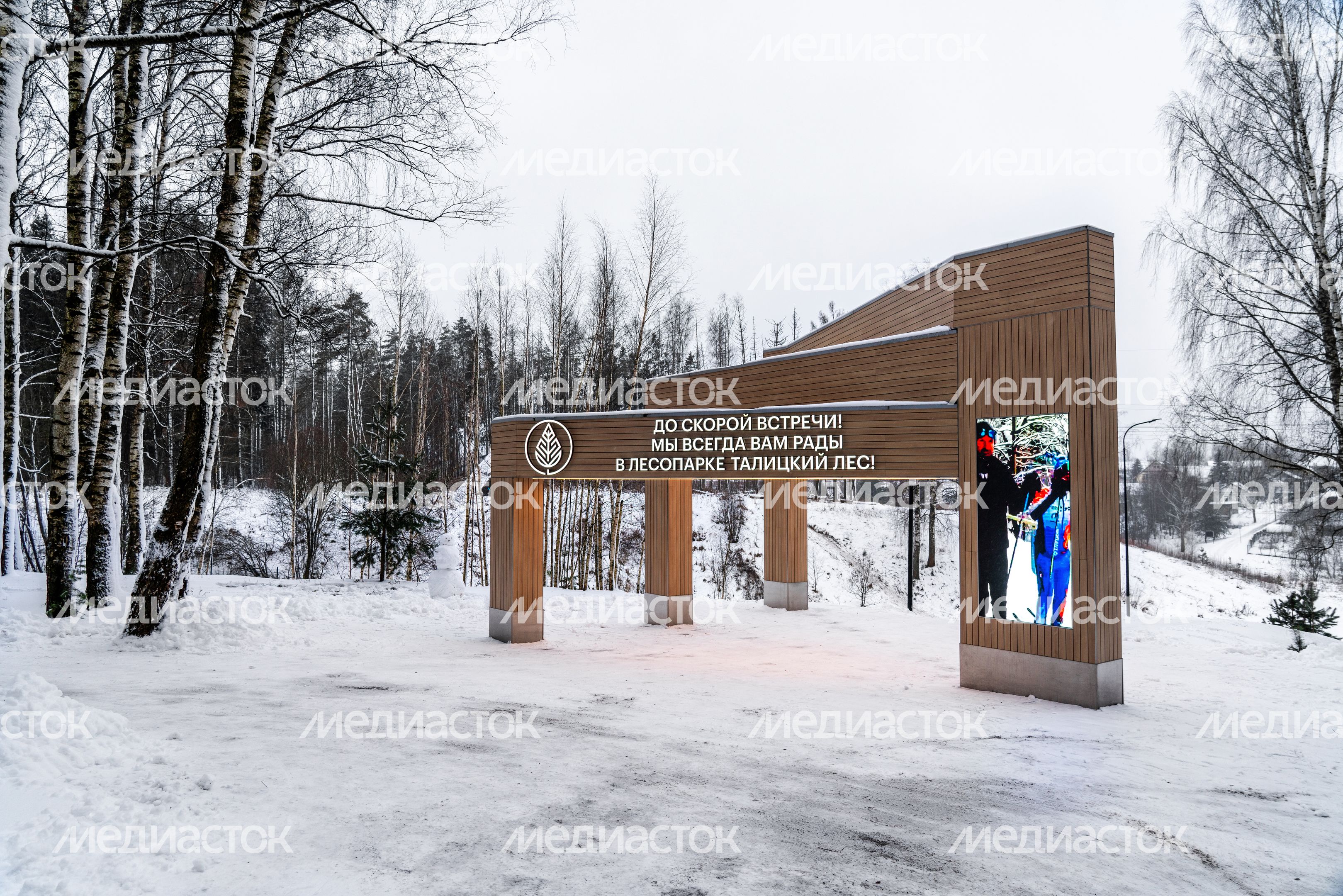Лесопарк «Талицкий лес» зимой в Клину Лесопарк «Талицкий лес» зимой в Клину