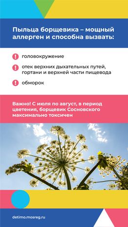 Вертикаль_Борщевик Сосновского_04.png