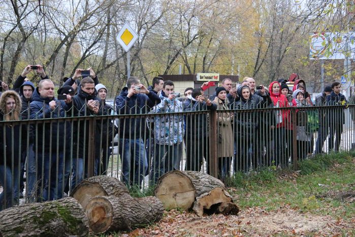 Осенний призыв в Щелково