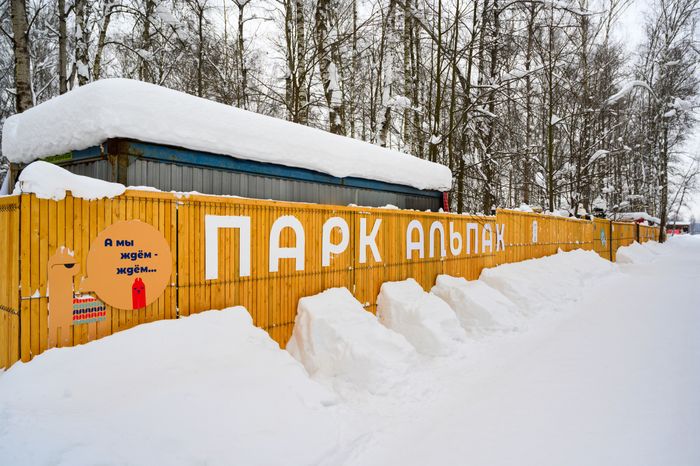 Парк альпак «Пача мама» в парке «Взлет» Домодедово