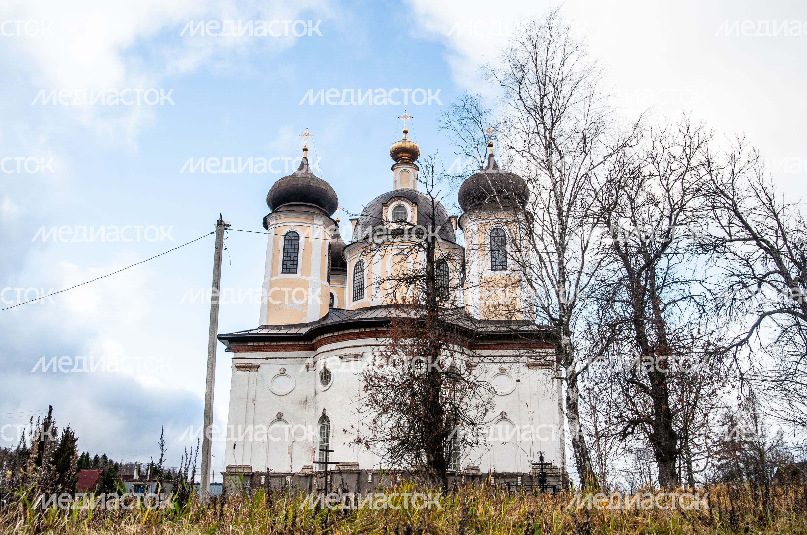 Церковь Преображения Господня в деревне Спасс-Косицы