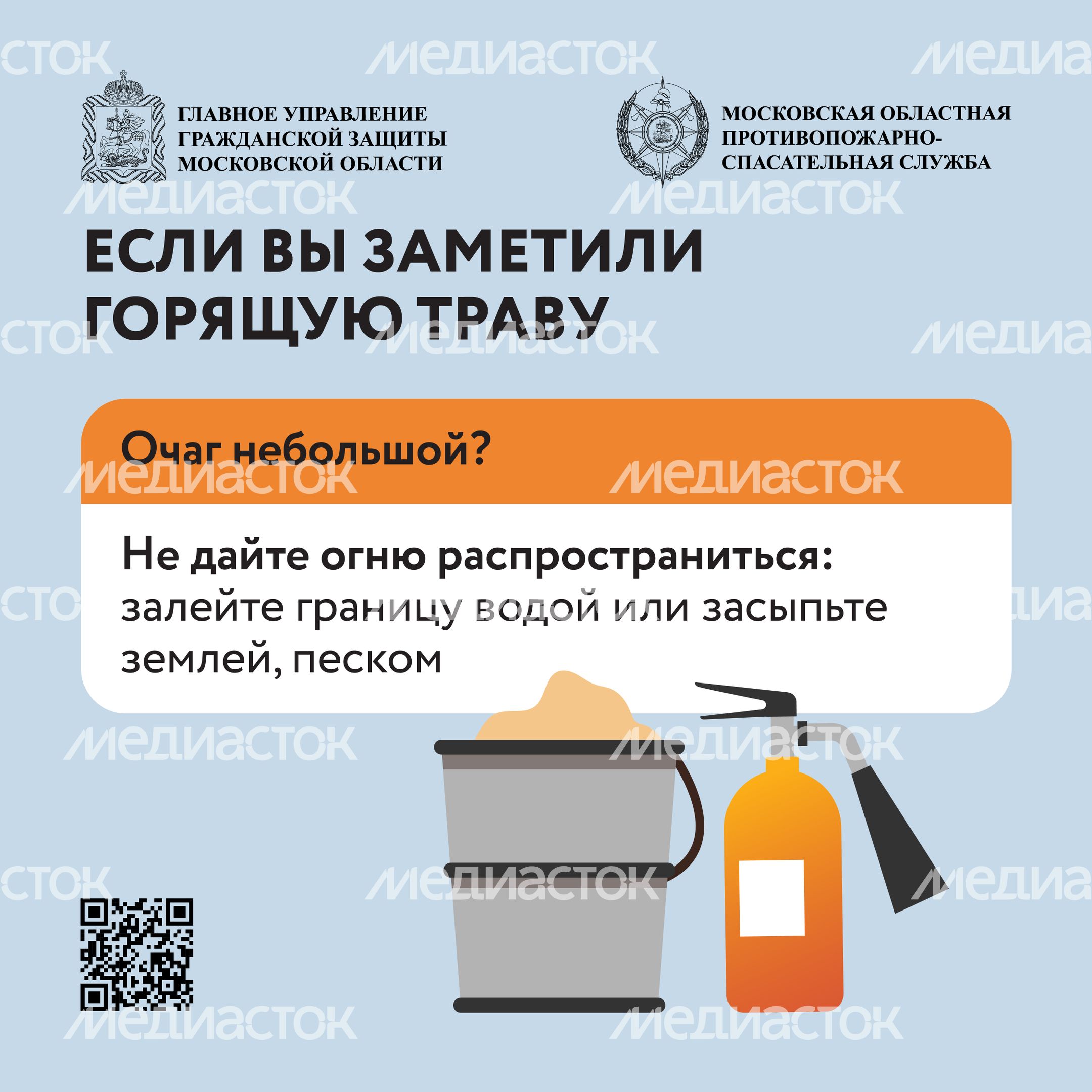 Пал травы-2024_Квадрат-06