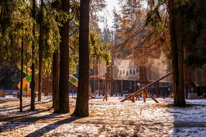 Зима в лесопарке «Шишкин лес»
