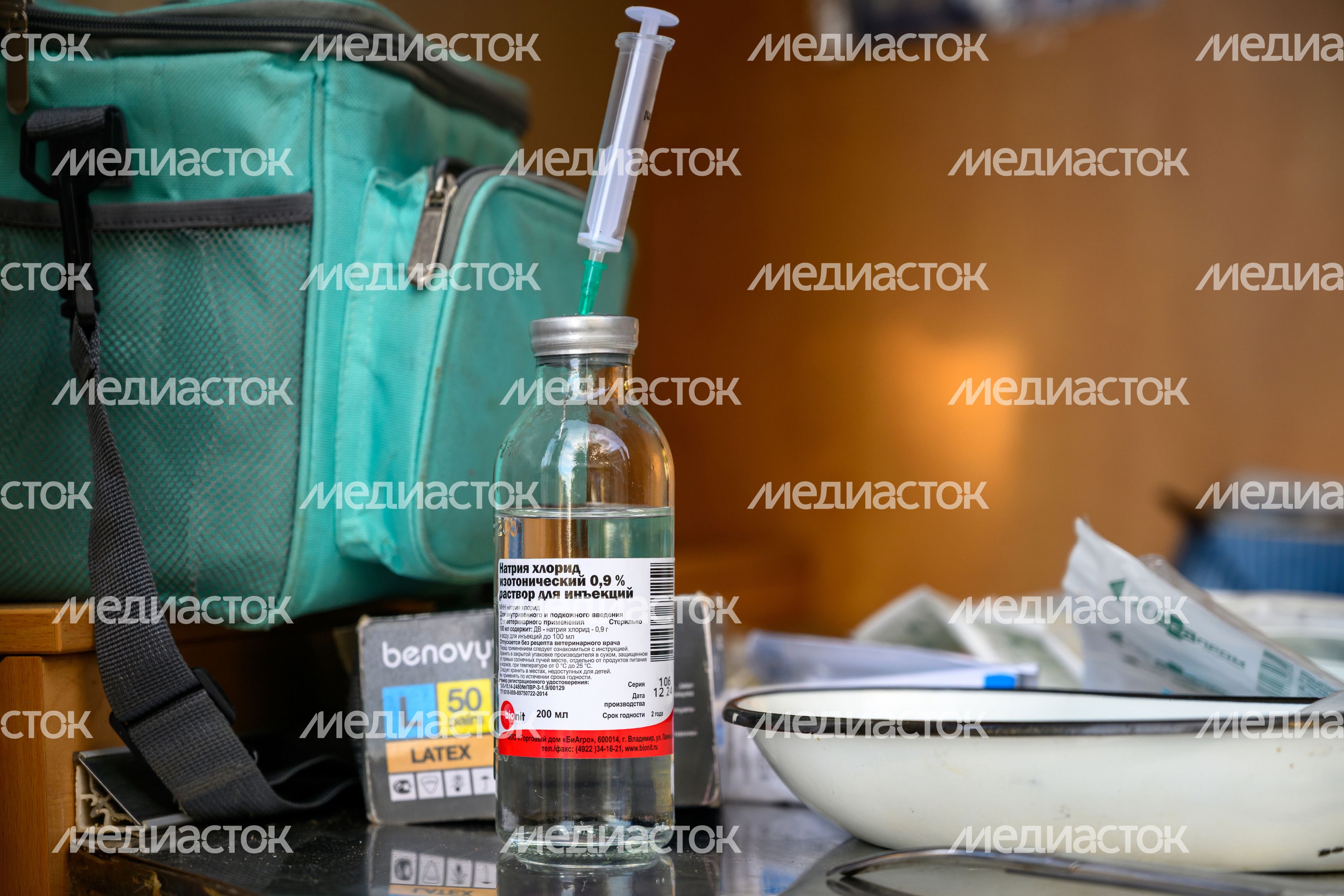 Выездная вакцинация животных в балашихинском парке "Пехорка" Выездная вакцинация животных в балашихинском парке "Пехорка"