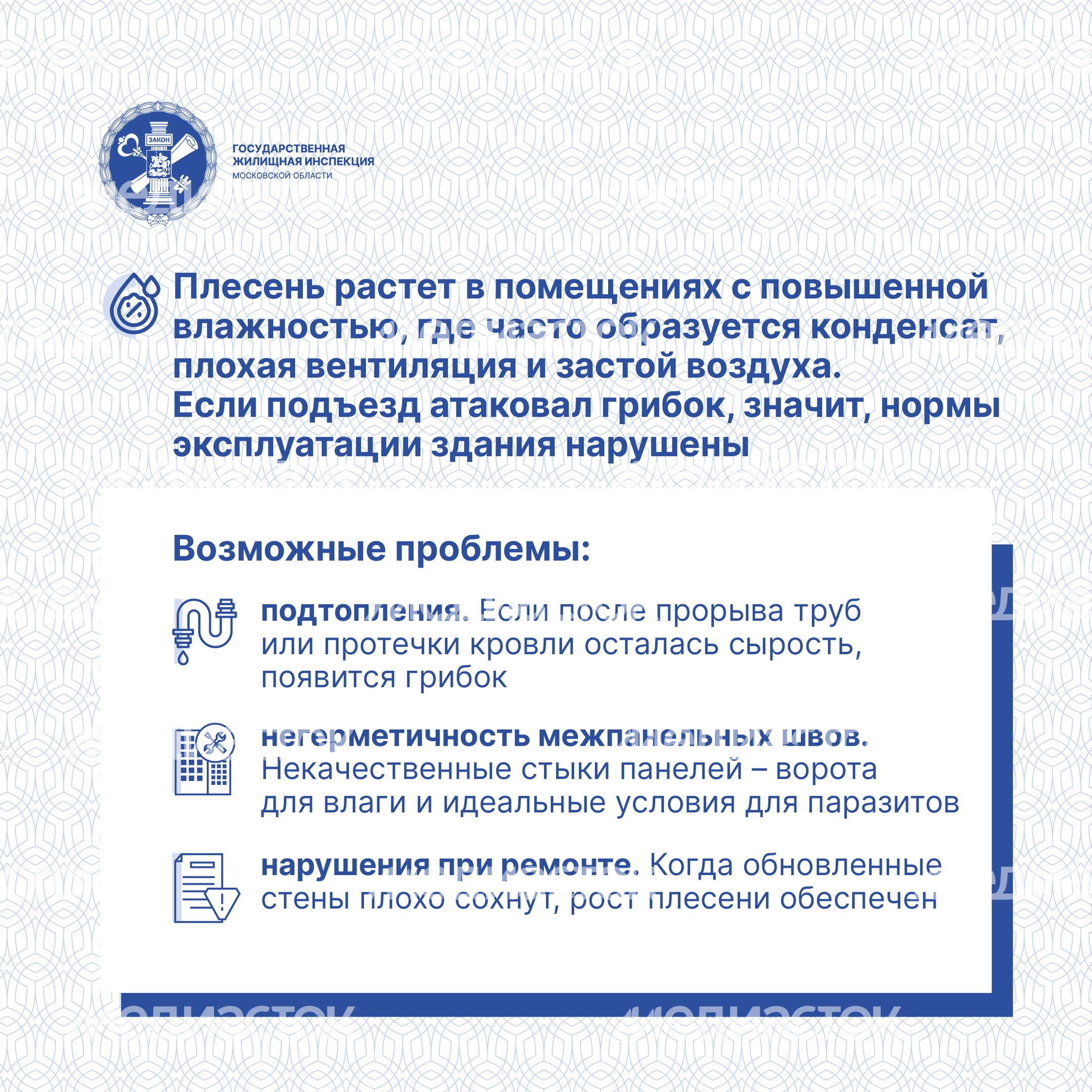 Квадрат Плесень 03.jpg