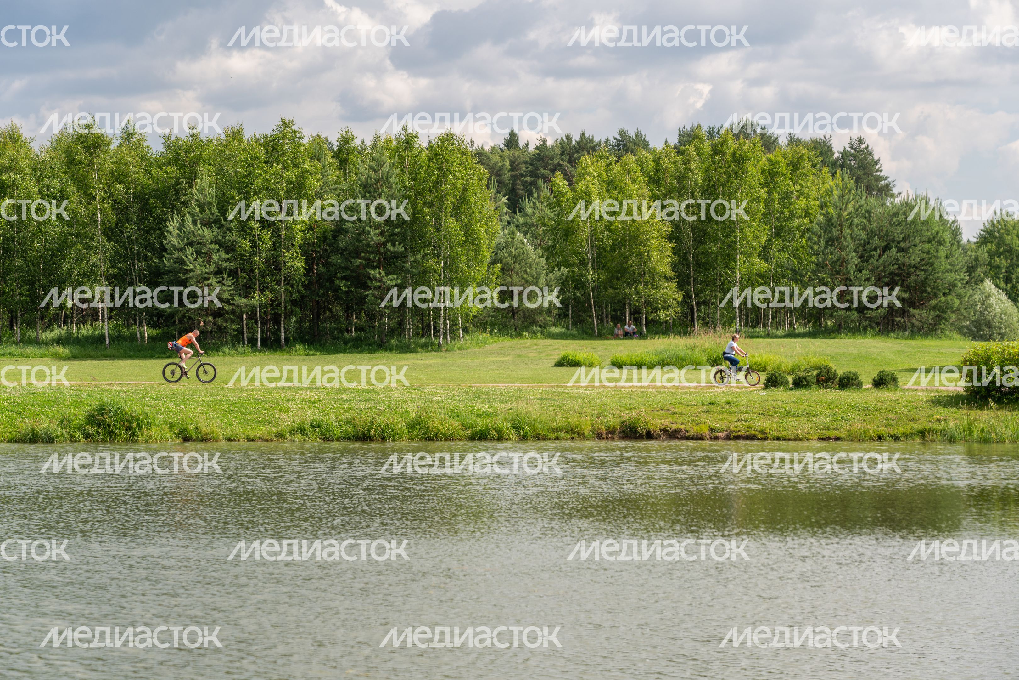 Мещерский парк летом