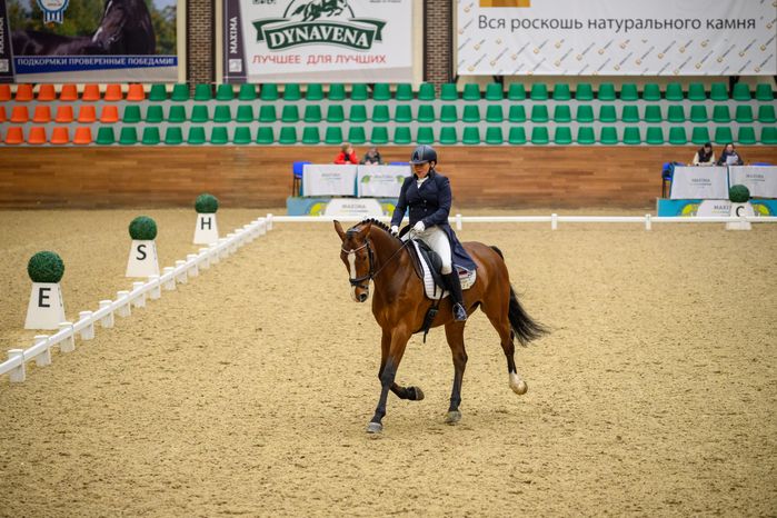 Кубок России по выездке лошадей в «Максима парке» Дмитровского округа