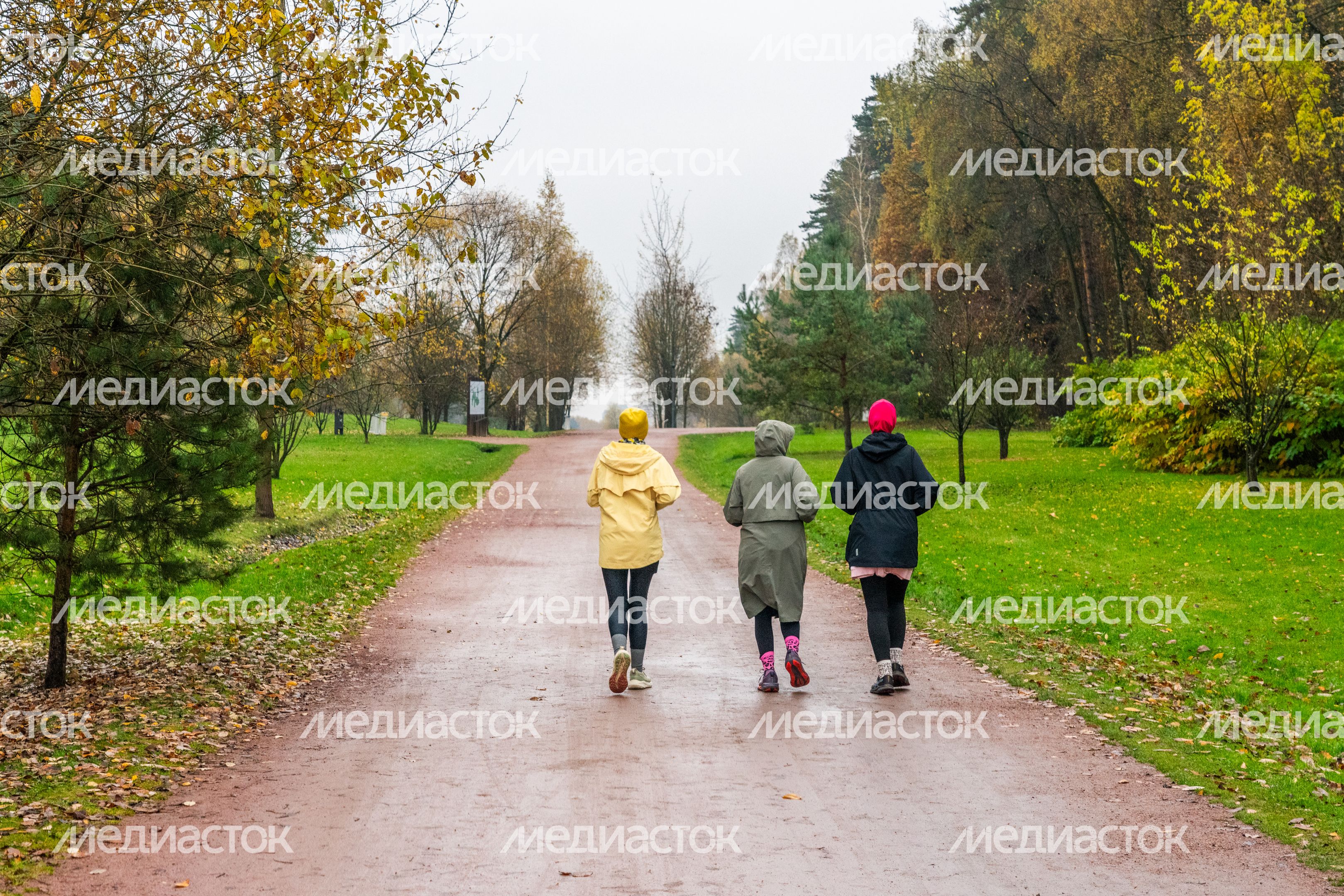 Мещерский парк осенью 2025 Мещерский парк осенью 2025