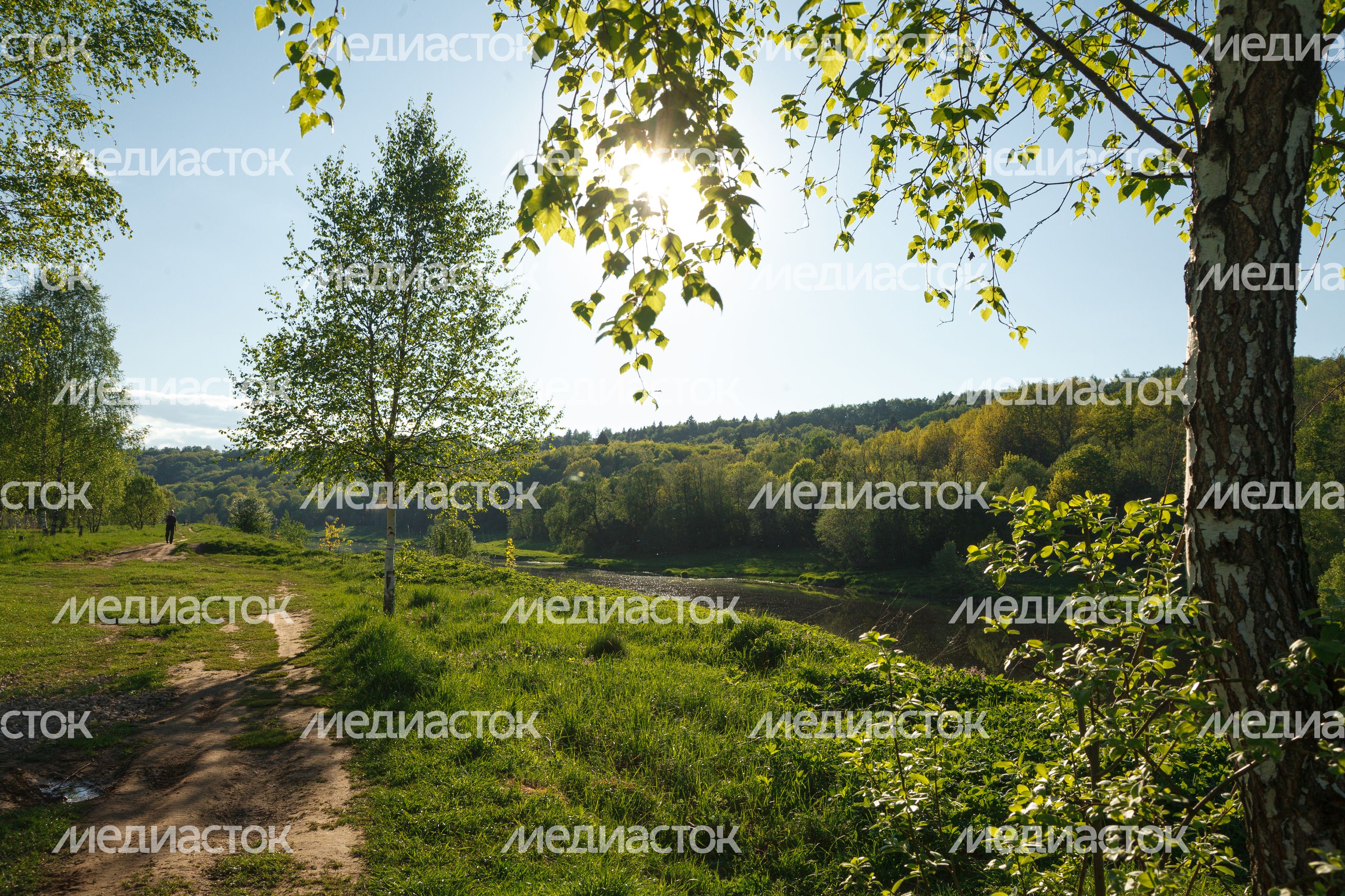 Природа Подмосковья: берег Москвы-реки в Тучково Рузского округа Природа Подмосковья: берег Москвы-реки в Тучково Рузского округа