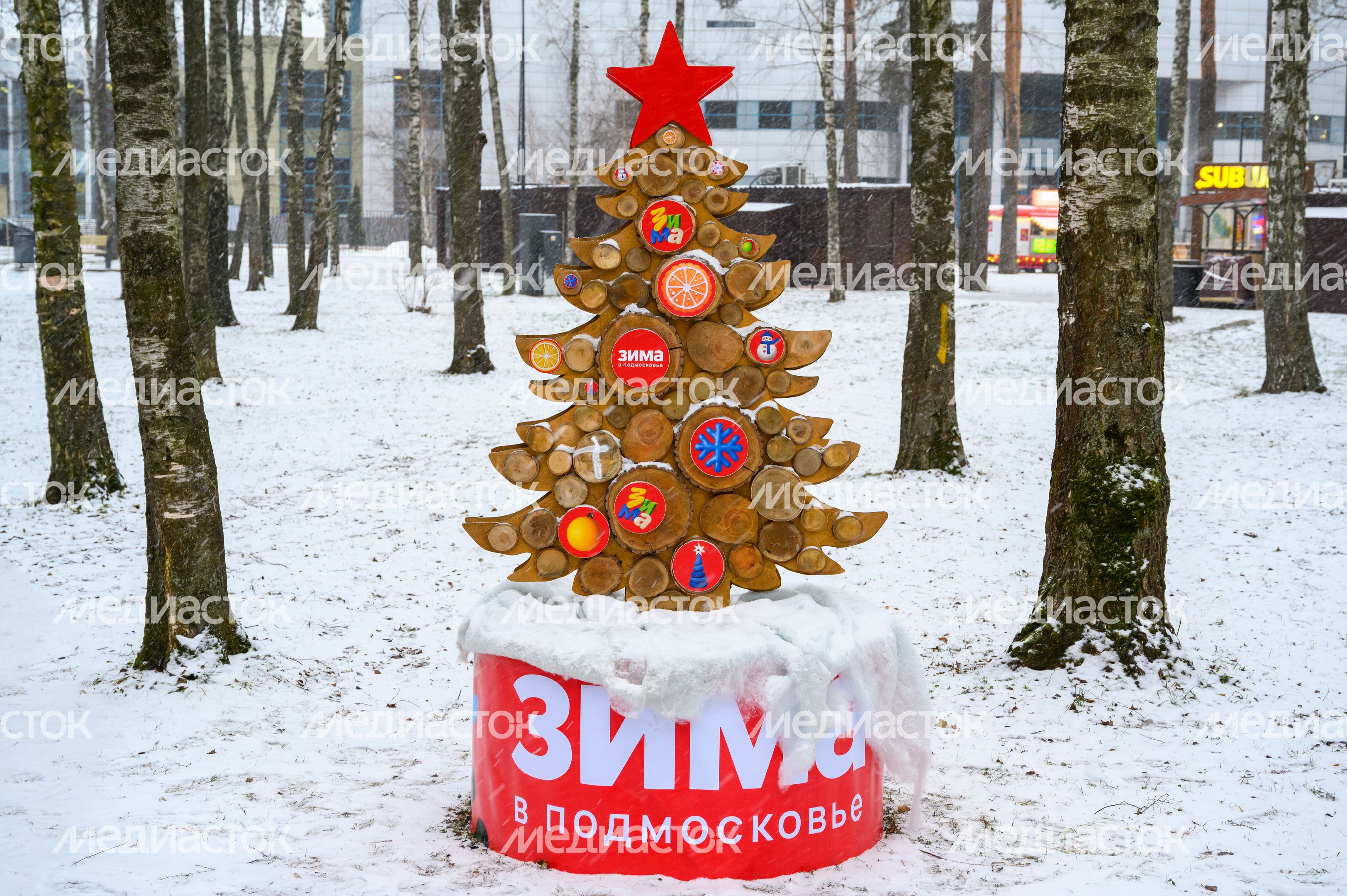Экоелка в парке «Пехорка» в Балашихе зимой Экоелка в парке «Пехорка» в Балашихе зимой