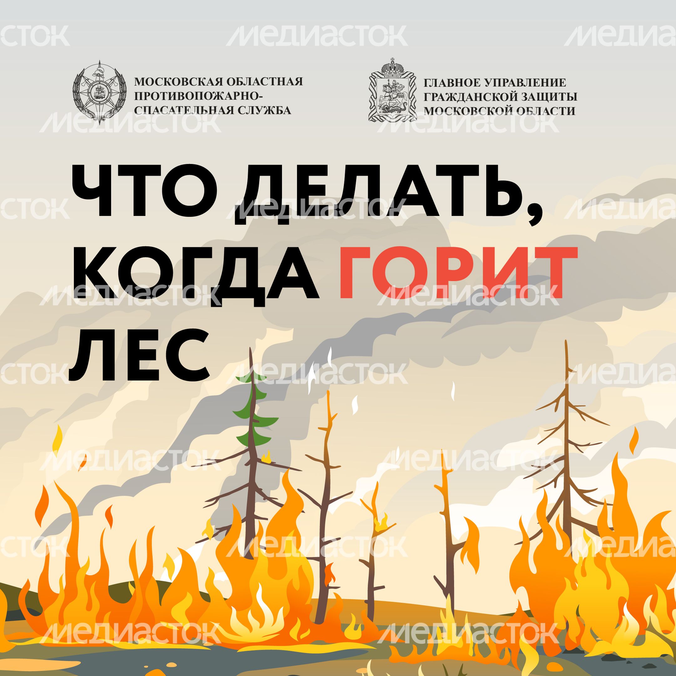 Лесные пожары