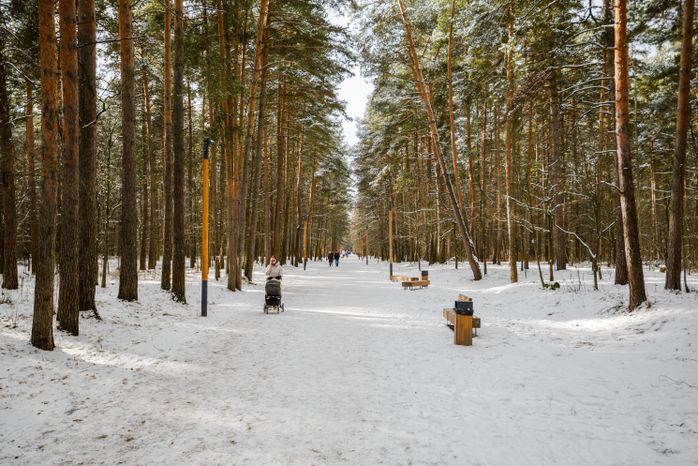 Лесопарк «Лесная опушка» в поселке Октябрьский округа Люберцы
