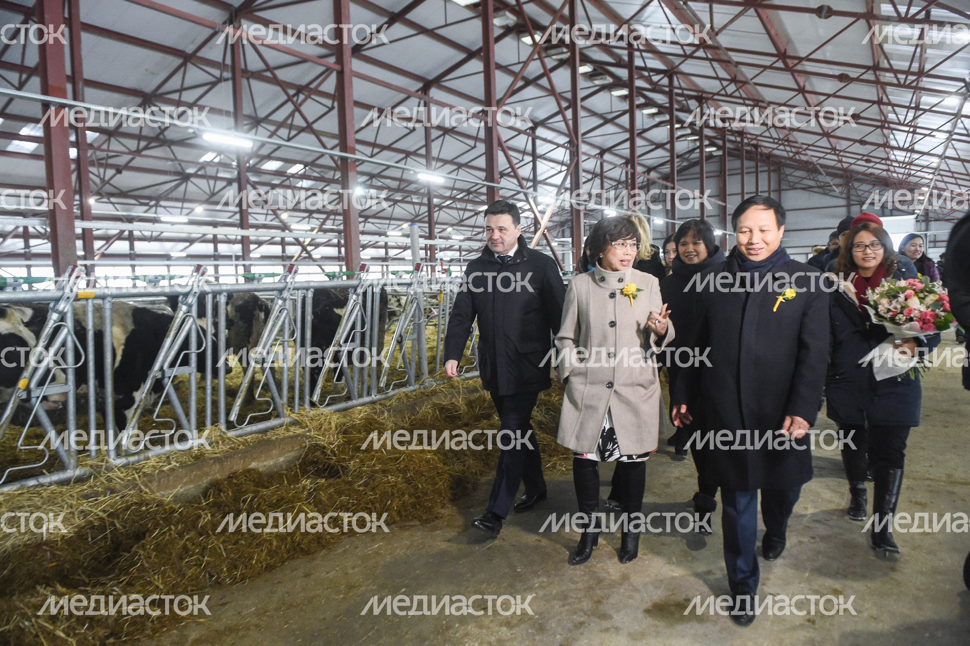 Открытие нового молочного комплекса TH True Milk в Подмосковье, 2 часть