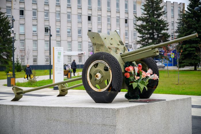 Пушка у мемориала Воинской Славы в сквере у Дулевского фарфорового завода