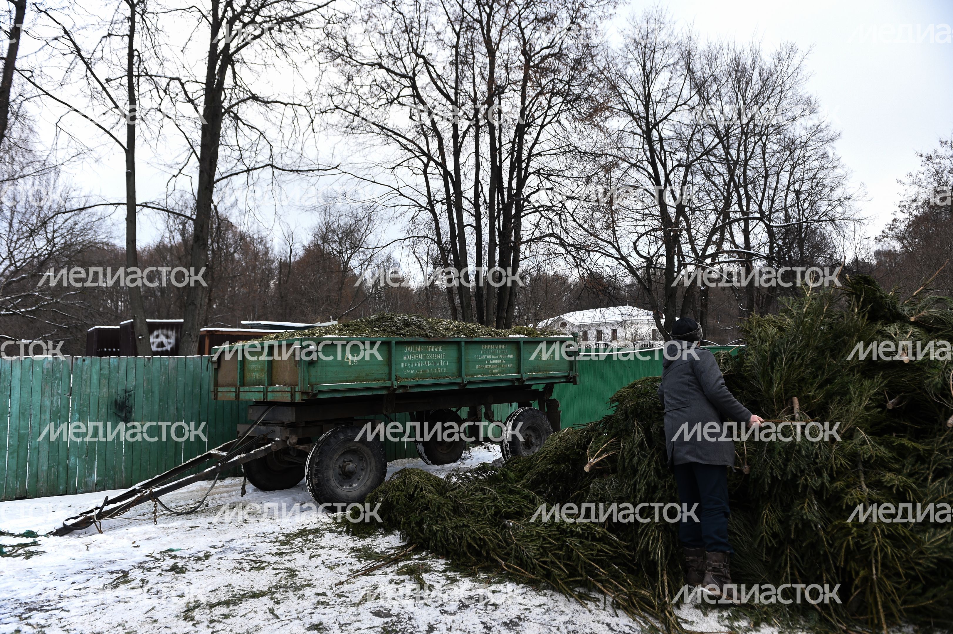 Утилизация елок после Нового года в Москве