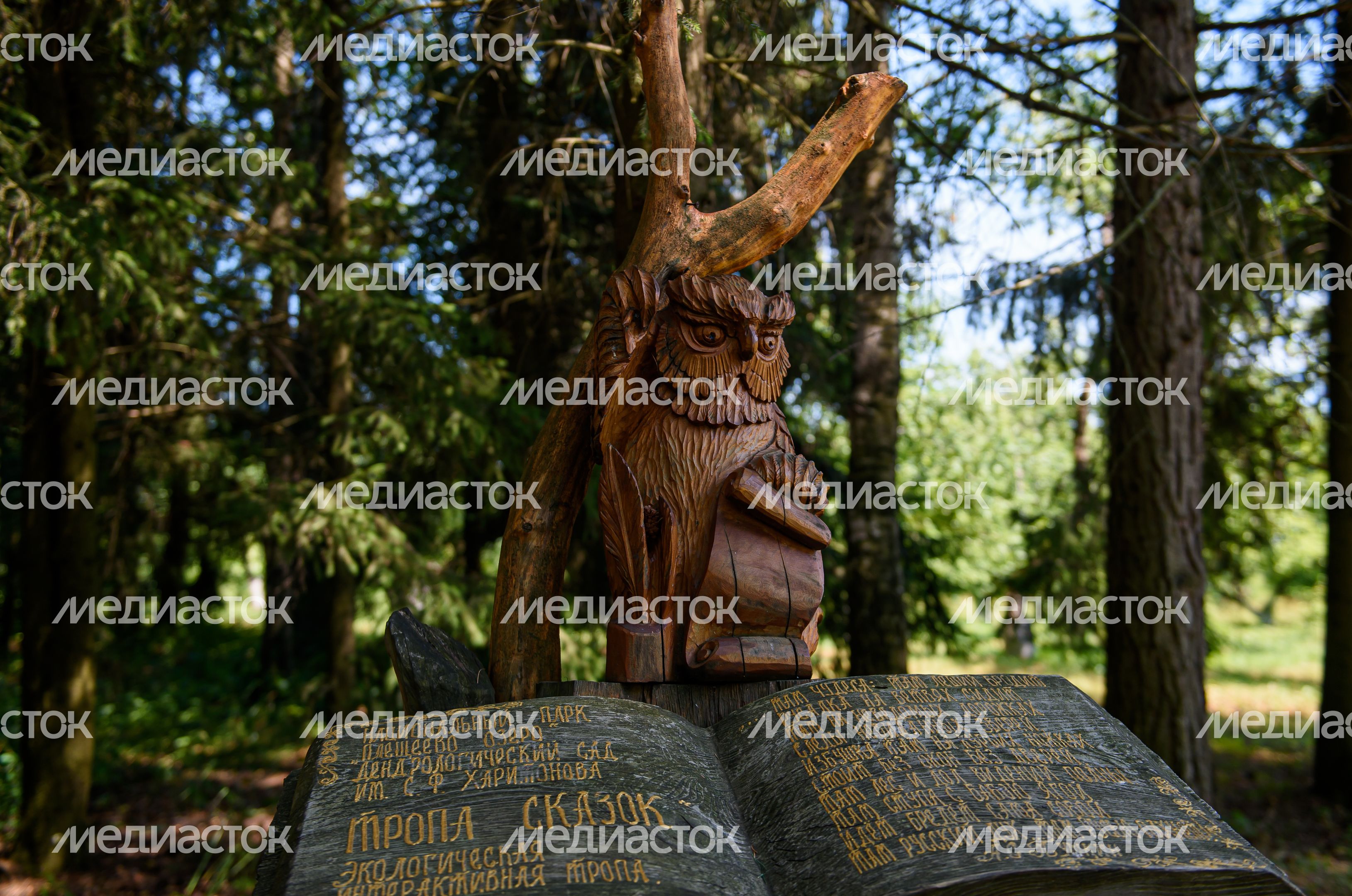 Переславский дендрологический сад имени Сергея Фёдоровича Харитонова