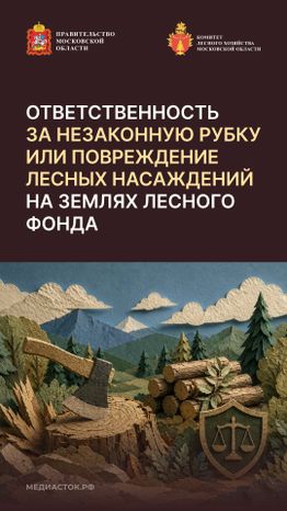 Незаконная рубка вертикаль 01