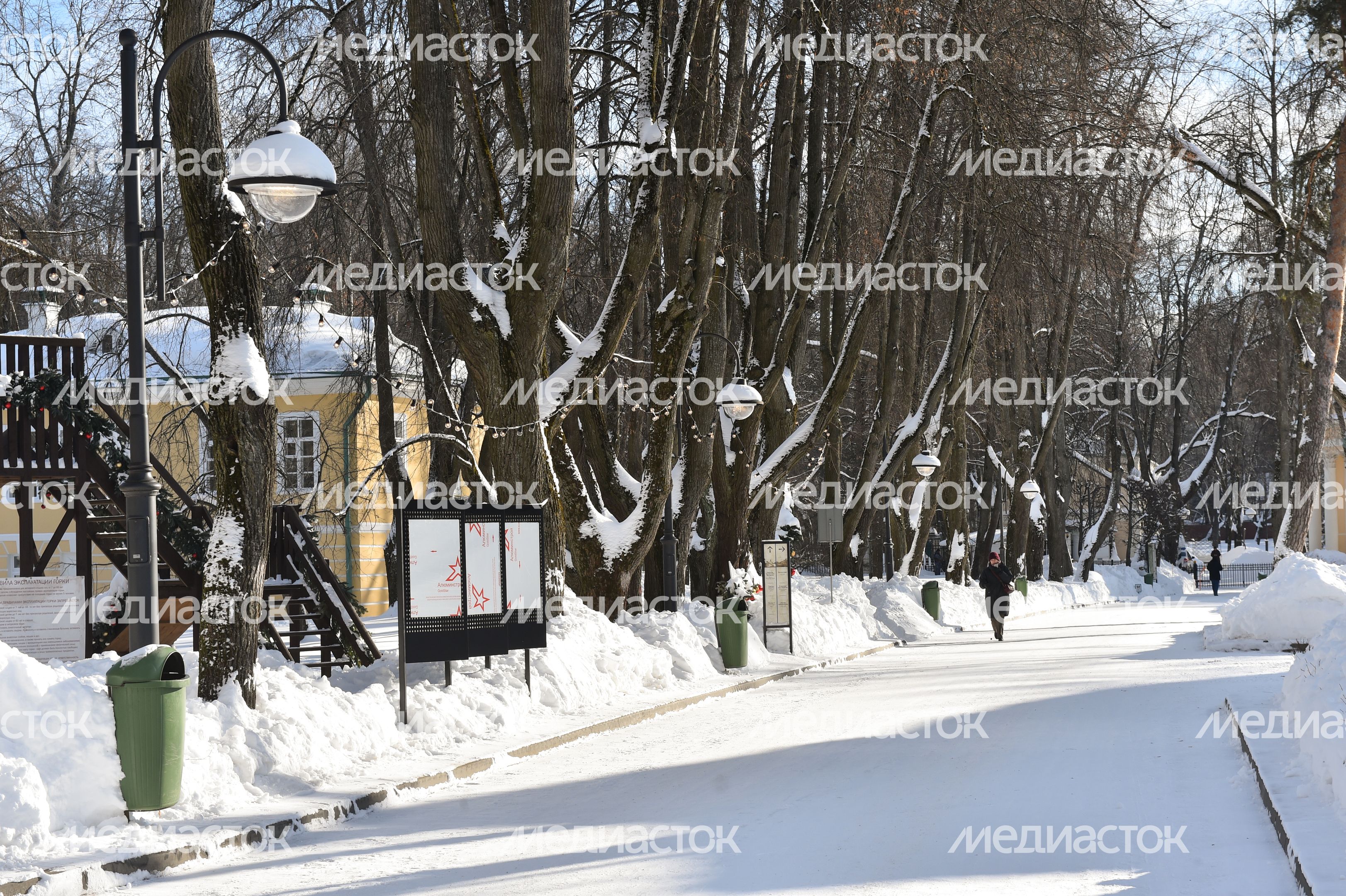 Подготовка к лыжной гонке в музее-усадьбе «Архангельское»