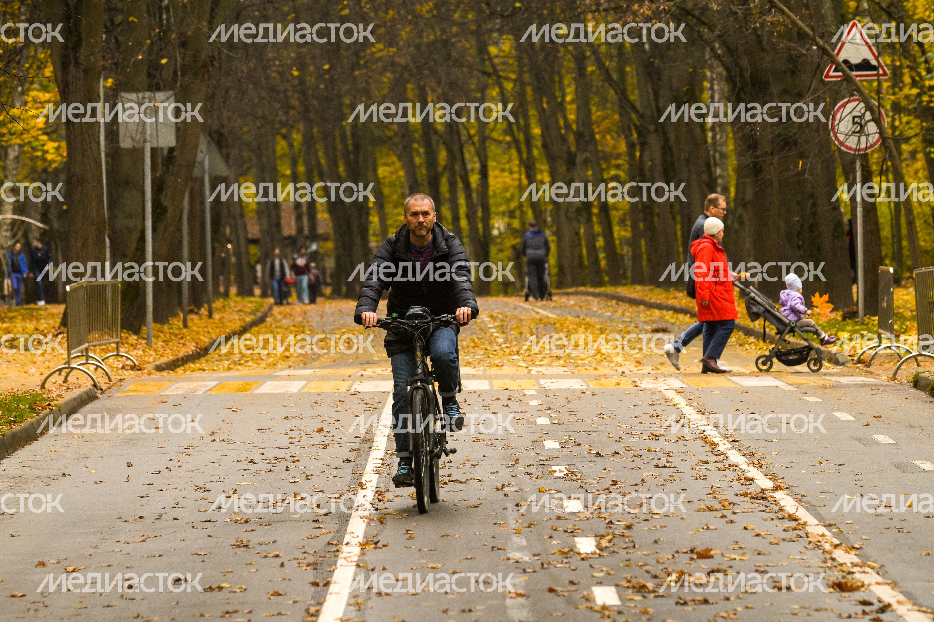 Золотая осень в парке «Сокольники»